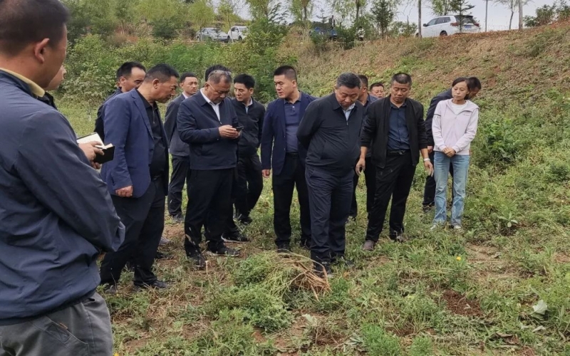 天水市政協(xié)副主席、清水縣委書(shū)記馬越垠到“榮程百草莊園”中藥材試驗(yàn)基地調(diào)研中草藥產(chǎn)業(yè)發(fā)展工作