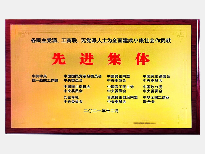 各民主黨派、工商聯(lián)、無(wú)黨派人士為全面建成小康社會(huì)作貢獻(xiàn)先進(jìn)集體